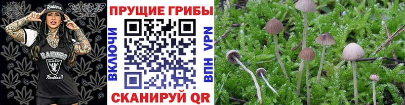 Галлюциногенные грибы ЛСД купить цена Белогорск